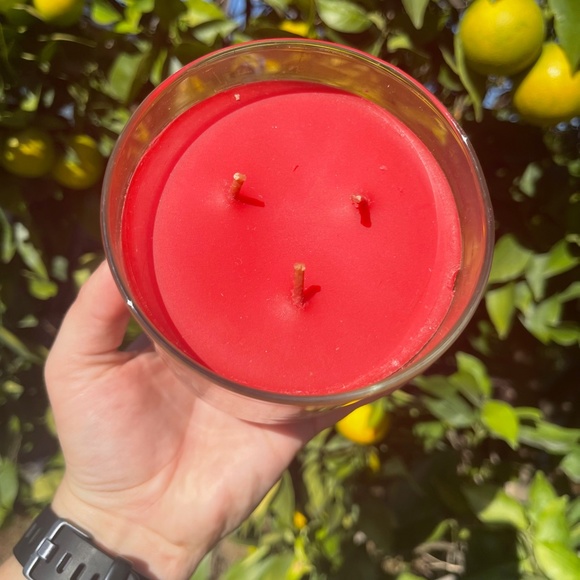 Holiday Wish Good Cheer Golden Apples and Spice Bath and Body Works Candle - Picture 6 of 7